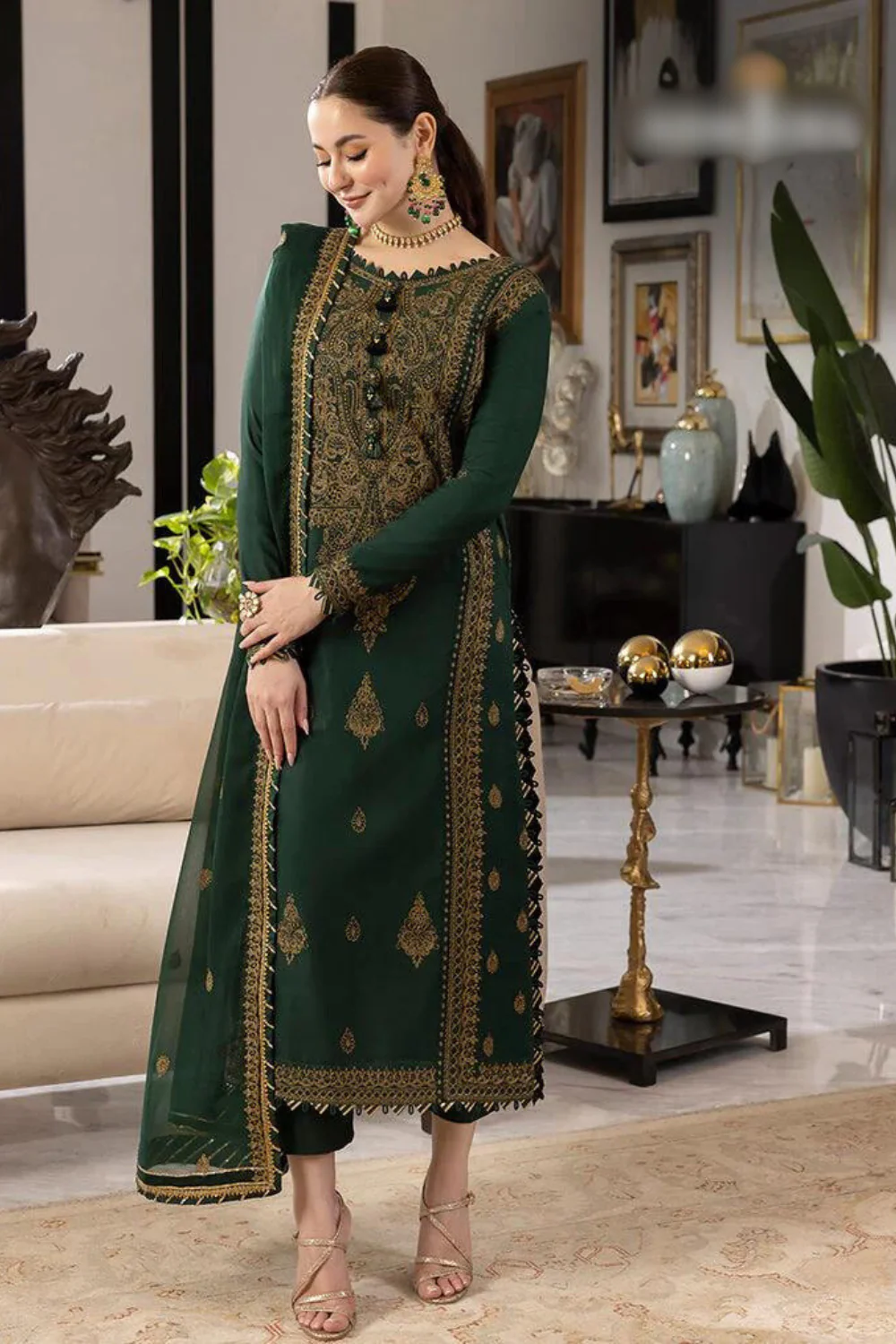 Rang e Noor Chiifon Fully Heavy Embroidered 3pc Dress ( Unstitch ) RN-32 - Image 3