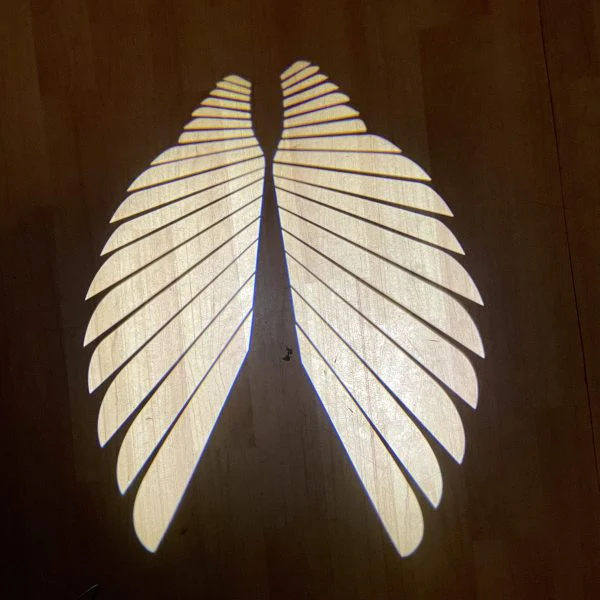 Angel Wing LED Lamp Lights For All Bikes And Cars Road Refit White,Blue,Red - Image 11